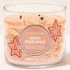 Snowy Peach Berry 3-Wick Candle
