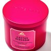 Cactus Blosom 3-Wick Candle