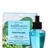 Eucalyptus Rain Wallflowers Refills 2-Pack