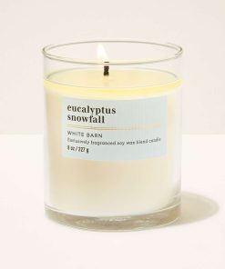 Eucalyptus Snowfall Single Wick Candle
