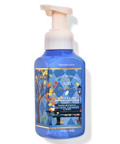 Crisp Morning Air Gentle & Clean Foaming Hand Soap