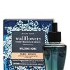 Welcome Home Wallflowers Refills 2-Pack
