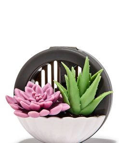 Succulent Car Fragrance Holder