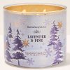 Lavender & Pine 3-Wick Candle