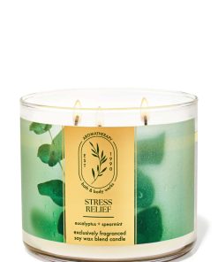 Eucalyptus Spearmint 3-Wick Candle