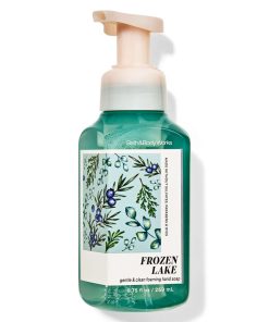 Frozen Lake Gentle & Clean Foaming Hand Soap