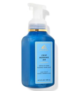 Crisp Morning Air Gentle & Clean Foaming Hand Soap