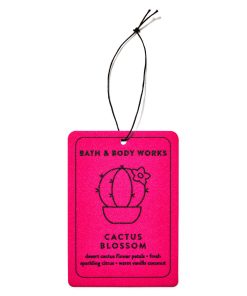 Cactus Blossom Hanging Fragrance Diffuser