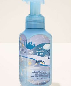 Frozen Lake Gentle & Clean Foaming Hand Soap