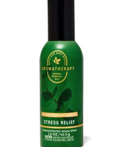 Eucalyptus Spearmint Concentrated Room Spray