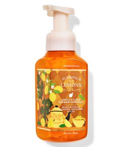 Sunshine & Lemons Gentle & Clean Foaming Hand Soap