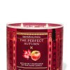 The Perfect Autumn 3-Wick Candle