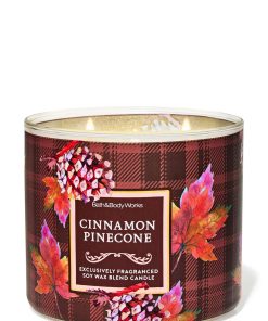 Cinnamon Pinecone 3-Wick Candle