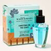 Christmas on the Coast Wallflowers Refills 2-Pack