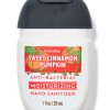 Sweet Cinnamon Pumpkin Moisturizing PocketBac Hand Sanitizer