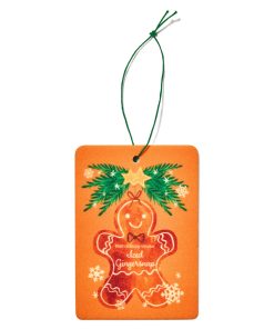 Iced Gingersnap Hanging Fragrance Diffuser
