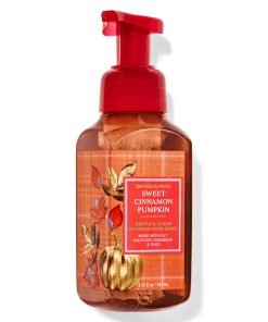 Sweet Cinnamon Pumpkin Gentle & Clean Foaming Hand Soap