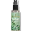 Eucalyptus Spearmint Hand Sanitizer Spray
